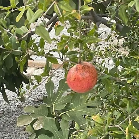 Sunset View Penthouse 2 Bedrooms Tatlisu Апартаменты Akanthou